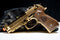 GPM92 GP2 Gold [LIMITED EDITION] - ssairsoft.com