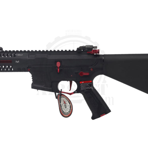 SS Custom Gate Titan in G&G ARP 9 ICEe w/ Stubby Stock | AEG | SS
